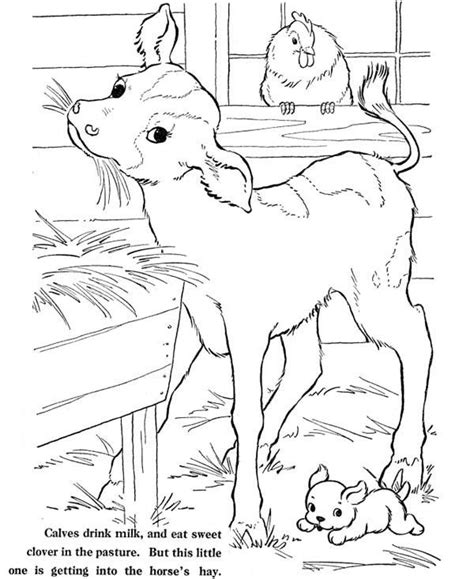 Farm Life Coloring Pages Animal At Barn Bulk Color