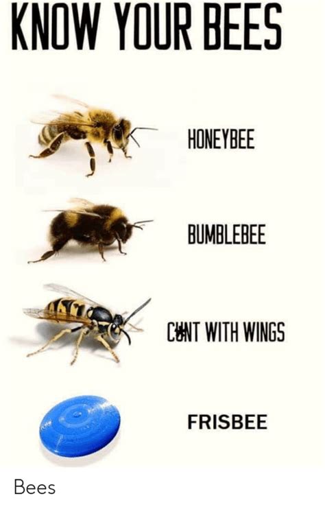 Know Your Bees Honeybee Bumblebee Cnt With Wings Frisbee Bees Wings