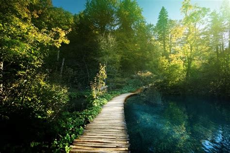 🥇 Wall Murals Plitvice Lakes National Park 🥇