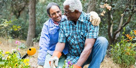 Healthy Hobbies For Seniors Carespring