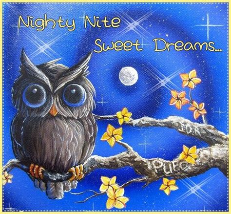 Good Night Owl Artwork Owl Art Owl Pictures