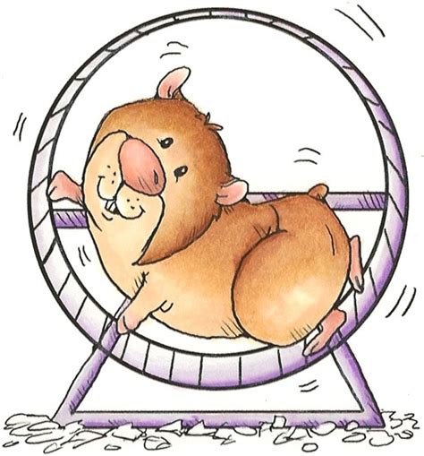 Free Hamster Wheel Cliparts Download Free Clip Art Free
