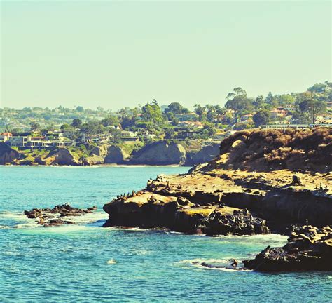 L O V E La Jolla Cove San Diego