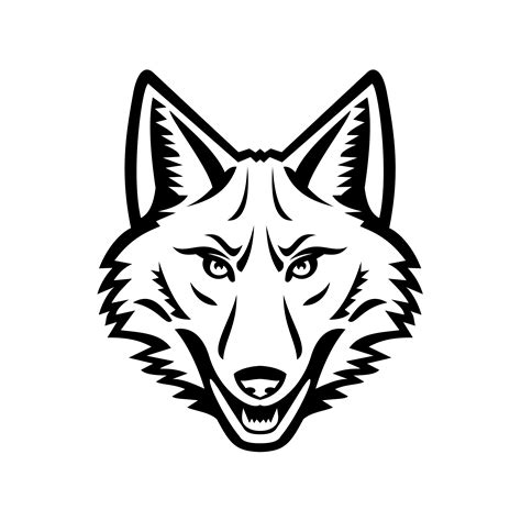 Head Of A Coyote Front View Mascot Black And White 1917423 Vector Art