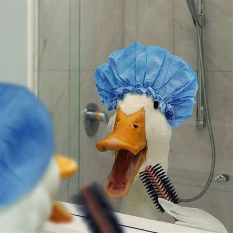 Aflac Duck Singing In The Shower Funny Duck Cute