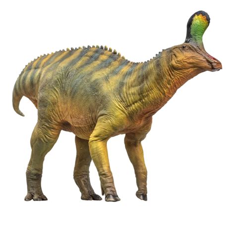 Pnso Xiaoqin The Tsintaosaurus Scientific Art Model In 2022 Dinosaur Dinosaur Pictures