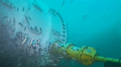 Microsofts Unterwasser Rechenzentrum Jetzt Via Webcam Zu Beobachten