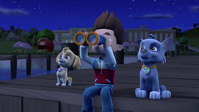 Watch Paw Patrol Season Episode Pups Save A Sniffle Pups And The