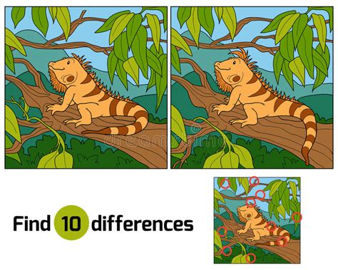 Find differences (zebra) stock vector. Illustration of amusing - 51507283