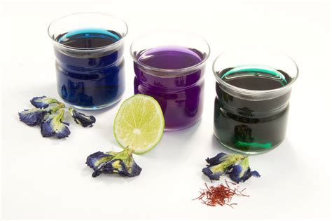 Now that you have learned about its magical color properties, are you ready to learn about some of the health benefits butterfly pea flower tea has to offer? Butterfly Pea Flower Tea: Are the Benefits as Good as the ...