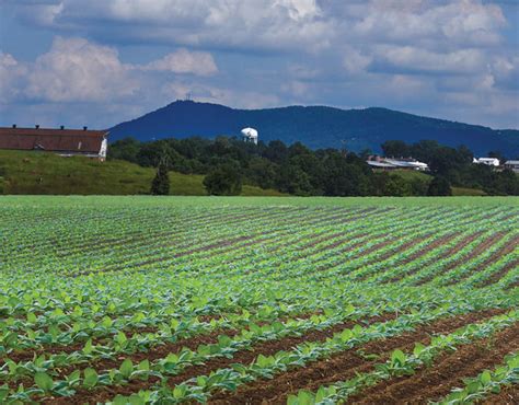 Georgia Department Of Agriculture Announces Specialty Crop Block Grant
