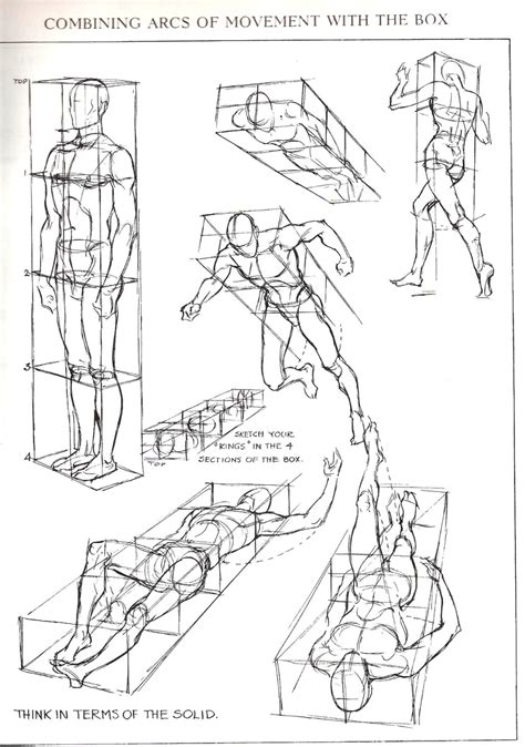 Figures In Perspective From Figure Drawing For All Perspective