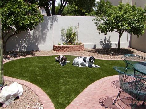 No Grass Backyard Ideas For Dogs A Guide To A Dog Friendly Yard
