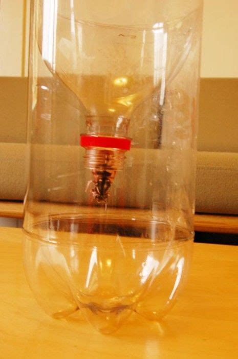 Diy Wasp Trap The Diy Adventures Diy Plastic Bottle Plastic Bottle Ideas Diy Wasp Trap