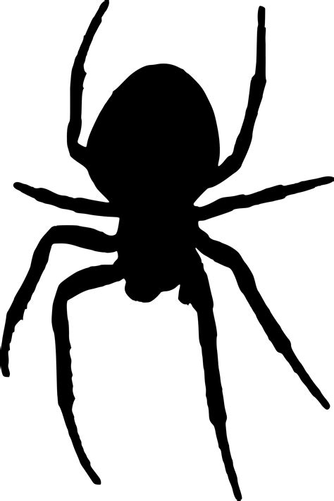 Get Spider Clipart Black And White Background Alade