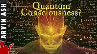 Quantum Mind: Is quantum physics responsible for consciousness & free ...