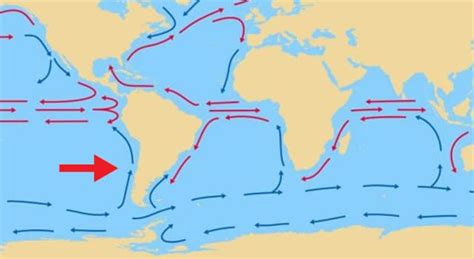 ¿cómo Se Llama La Corriente Oceánica Las Preguntas Trivia
