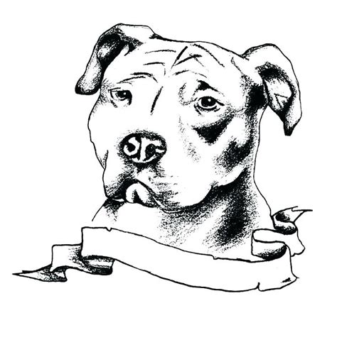 Pitbull Coloring Pages Best Coloring Pages For Kids