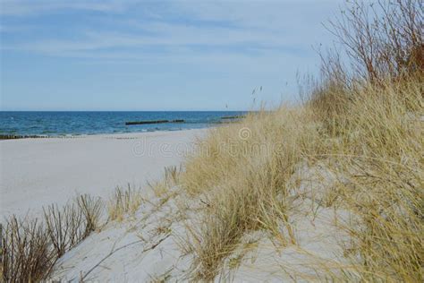 Sunny Beach With Sand Dunes Stock Image Image Of Grass Dunes 79181183