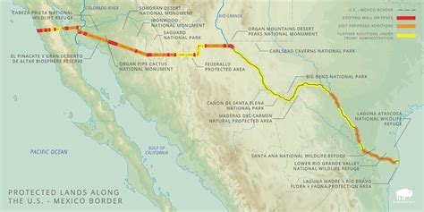 Ecosystems Divided The Border Walls Devastating Environmental Impacts