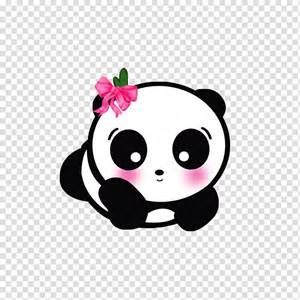 Cute Anime Panda 52 Images Dodowallpaper