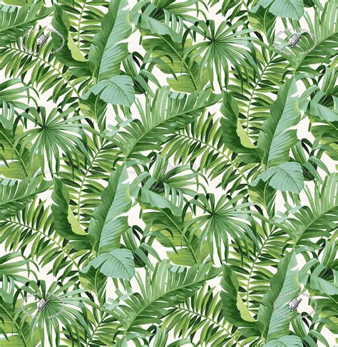 Vinyl Wallpaper With Palm Leaves Texture Seamless 20926