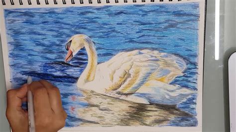 Drawing A Swan Using Colored Pencils And Markers Youtube