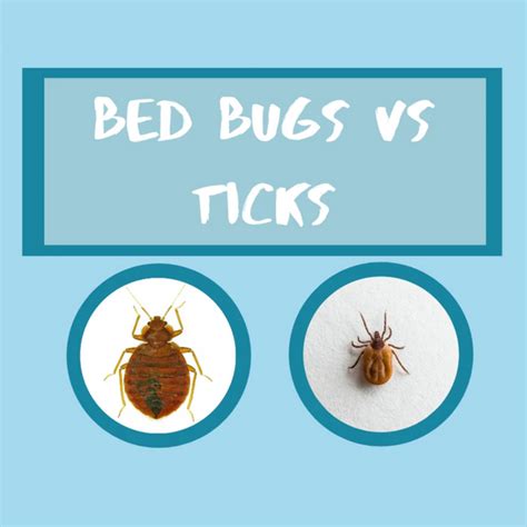 Bed Bug Vs Ticks Pf Harris