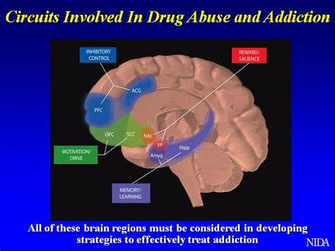 Substance Abuse And Its Effects On Brain A Brief Account