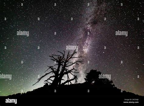 La Voie Lactée Est Capturée Avec Une Technique De Photographie à