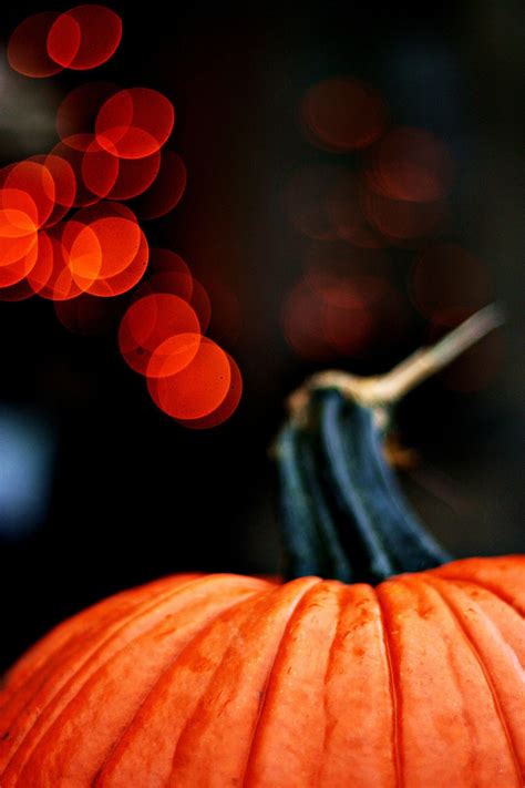 Stylish Pumpkin Halloweem Halloween Wallpaper Iphone Halloween