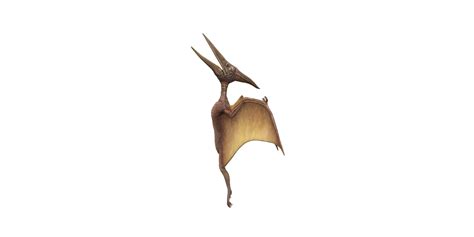 Pterodactyl Isolated On A Transparent Background 24064382 Png