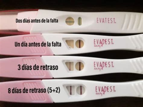 Aumento de linea del test de embarazo Buscando bebé BabyCenter