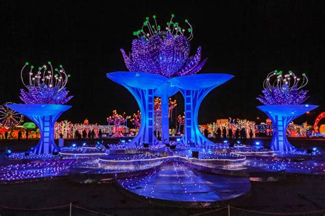 Free Images Light Display Holiday Winter Lotus Blue