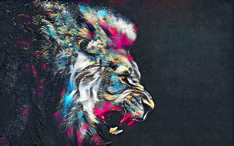 2560x1600 Lion Animals Wildlife Wallpaper Coolwallpapersme