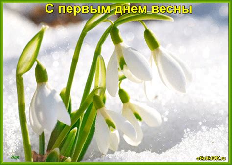 А если 1 марта идет снег, значит, будет хороший урожай. Наступил первый день весны | Открытки бесплатно