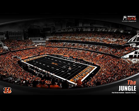 cincinnati bengals wallpapers wallpaper cave