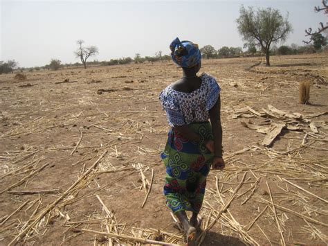 Woman In Burkina Faso Landesa