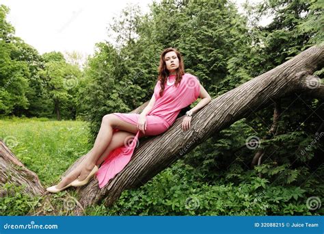 Young Woman Posing On A Tree Stock Image Image Of Pretty People 32088215