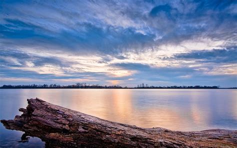 Driftwood Lake Nature Landscape Water Sky Wood Hd Wallpaper