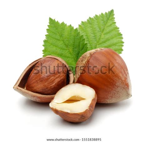Group Hazelnuts Green Leaves Isolated On Stock Photo 1551838895