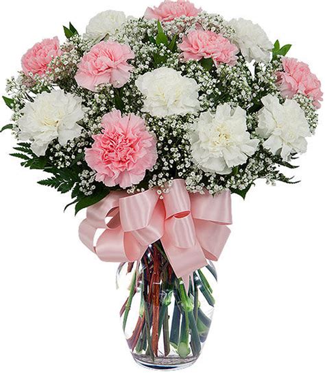 12 Pink And White Carnations Cr1aa Canada Flowers