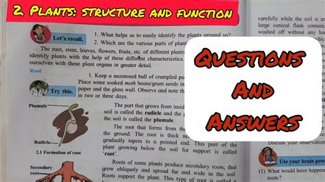 2 Plants Structure And Function Questions And Answers Class 7