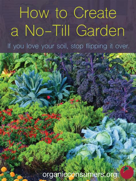 No Till Gardening Create A No Till Garden And Retire Your