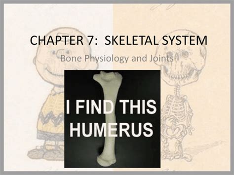 Chapter 7 Skeletal System