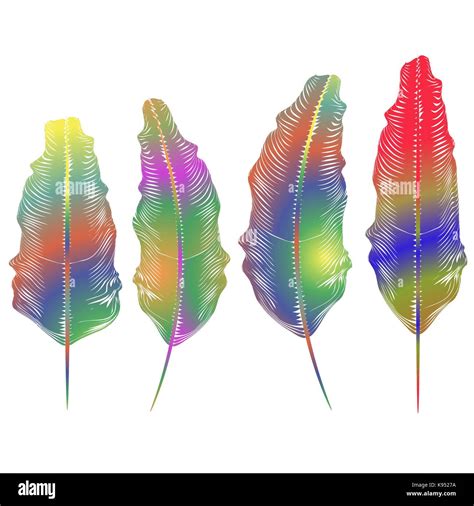 Set Of Different Colorful Feathers Stock Vector Image And Art Alamy