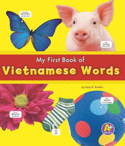 My First Book Of Vietnamese Words Bilingual Picture Dictionaries English And Vietnamese Edition