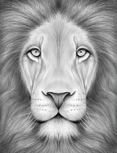 Lion Head Art Print By Greg Joens Lion Head Drawing Lion Drawing