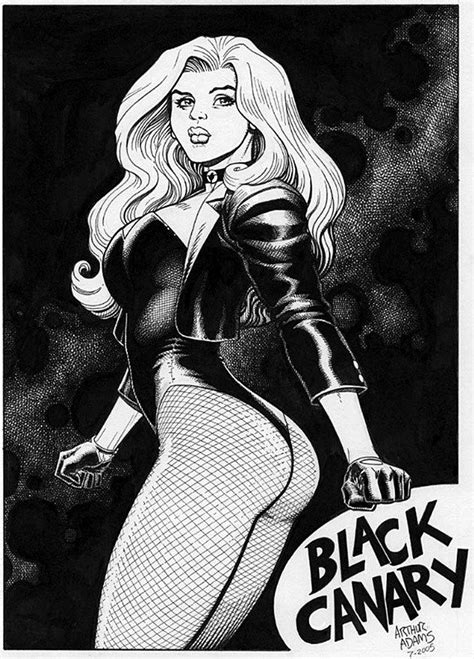 Black Canary Arthur Adams Black Canary Comic Black Canary Comics Girls