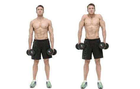 Dumbbell Shrug Bodybuilding Workouts